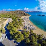 Βάι: 5 υπέροχες φωτογραφίες του συγκλονιστικού φοινικόδασους της Κρήτης!